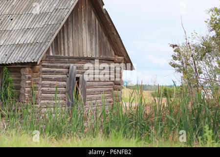 various objects of the summer season in the best of this wonderful period Stock Photo