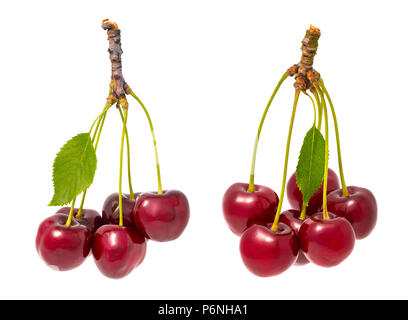 Two bunches of red sweet cherries. Prunus avium. Beautiful close-up of fresh ripe berry fruit, green stems and leaves. Healthy juicy refreshment. Stock Photo