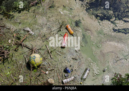 Freshwater pollution with plastic bottles and other items floating in a lake as an algal bloom gets underway. Stock Photo