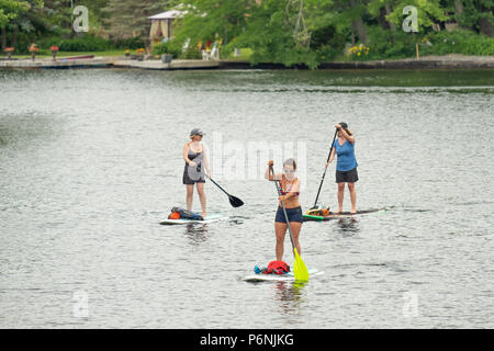 Three women paddleboarding down the Muskoka River in Ontario Canada. Stock Photo