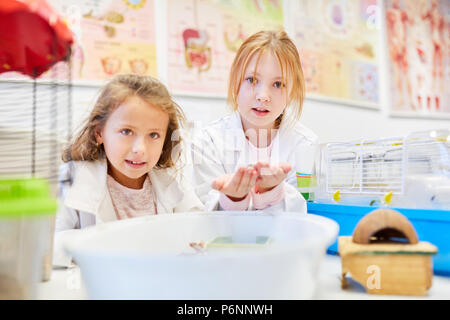 Two girls as students with little mice in biology lesson Stock Photo