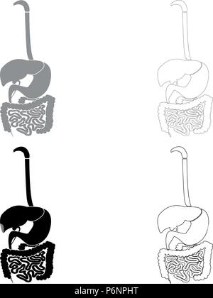 Digestive system icon set grey black color I flat style simple image Stock Vector