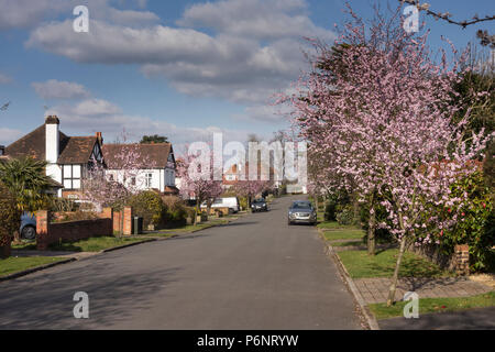 Typical suburban residential area (unadopted road or private road), UK Stock Photo