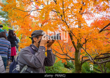 Asian tourist taking a photo of Koyo, Colored leaves of maple trees at Tofukuji temple, Kyoto, Japan Stock Photo