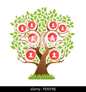 Ancestry / Genealogy Icon with Family Tree Album Web Header Banner and ...