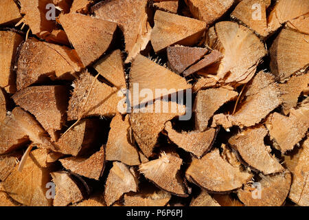 Stack Of Logs In Forest.  Martigny. Switzerland. Stock Photo