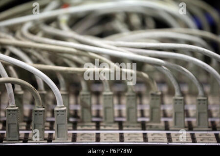 Ethernet cables. Internet.  Switzerland. Stock Photo