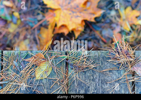 Pine needles and yellow leaves on wooden boards in... Stock Photo