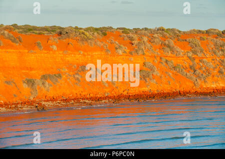 Red sand dune cliffs in Francois Peron National Park. Stock Photo