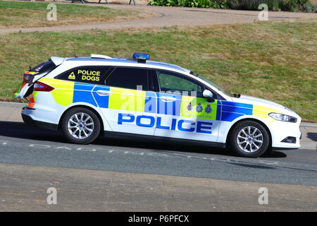 Police Dog Unit Stock Photo - Alamy