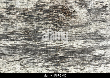 weathered elm wooden texture ready for your design Stock Photo