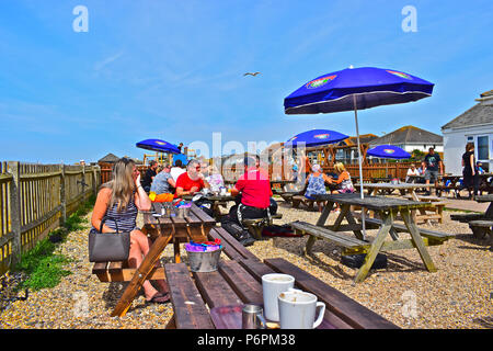People relaxing at outside benches of seafront café on a warm summer's day with a seagull flying overhead. Wooden picnic tables with open  sunshades. Stock Photo