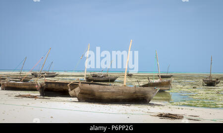zanzibar fishing dhow traditional sailing , fishing boats stranded at low tide on the coastline of Zanzibar Stock Photo