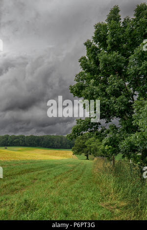 Rain clouds on the horizon over farm pasture Stock Photo
