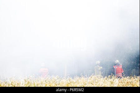 Wiechendorf, Germany. 02nd July, 2018. Firefighters putting out a forest fire. A forest area and several cereal fields have caught fire due to the ongoing dryness. Credit: Julian Stratenschulte/dpa/Alamy Live News Stock Photo