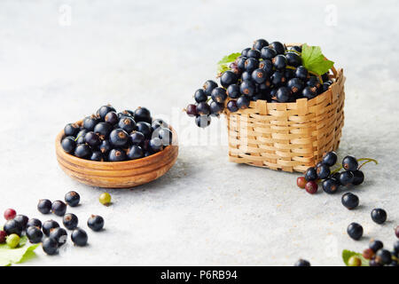 Freshly picked blackcurrants. Blackcurrants in a bowl and beside a small wicker basket of fresh blackcurrants. Stock Photo