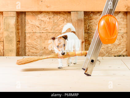 Funny housekeeper cleaning with besom dust at construction site Stock Photo