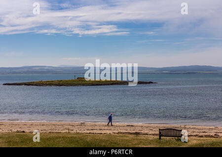 Lone person walks with dog on the Holy Island of Lindisfarne, Northumberland, England, looking across to St. Cuthbert’s Island at high tide Stock Photo