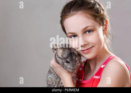 Cute smiling little girl holds funny gray chinchilla. Stock Photo