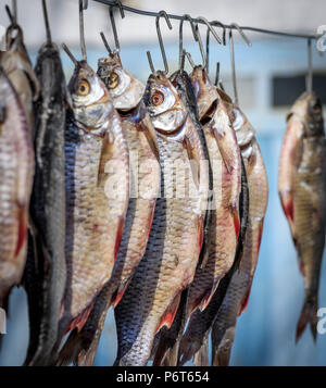 Salted fish ram is hanging on wire and dried outdoors, close up Stock Photo