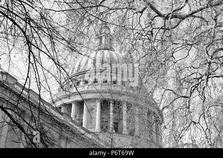 The view of the dome of St Paul's Cathedral in London through leafless branches Stock Photo
