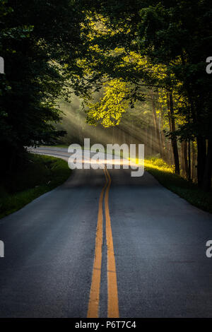 The suns early morning rays shine on the curve of a paved roadway. Stock Photo