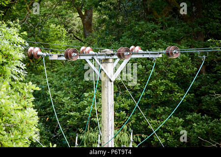 ceramic disc insulators and cables at the top of a electricity power pole lines running through forest clearing england uk Stock Photo