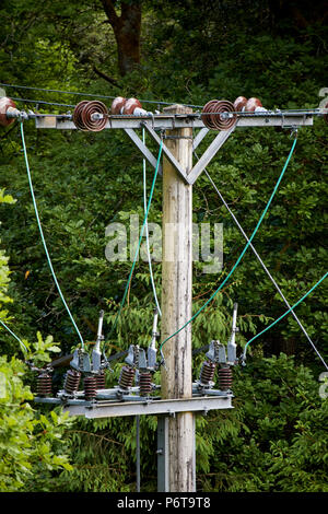 ceramic disc insulators and cables at the top of a electricity power pole lines running through forest clearing england uk Stock Photo