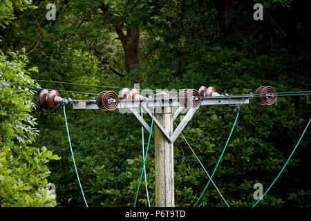 ceramic disc insulators and cables at the top of a electricity power pole lines running through forest clearing england uk Stock Photo