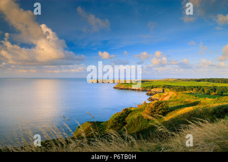 Stackpole Head Barafundle Bay Pembroke Pembrokeshire Wales Stock Photo