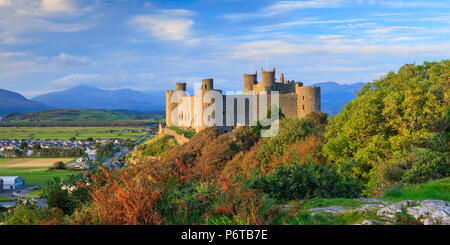 Harlech Castle Gwynedd Wales Stock Photo