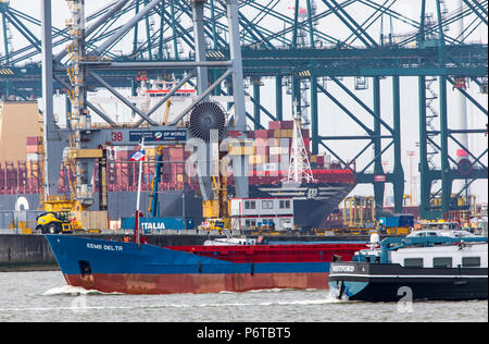 Container Terminal in Waaslandhaven, Port of Antwerp, Belgium, river Schelde, Stock Photo