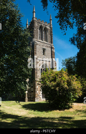 The Church of St John the Baptist in Cockayne Hatley Bedfordshire, thirteenth century. Typical English Church in a countryside setting. Stock Photo