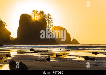 Point of Arches rocks at sunset, viewed from Shi Shi Beach along the Pacific Ocean in Olympic National Park, Washington State, USA Stock Photo