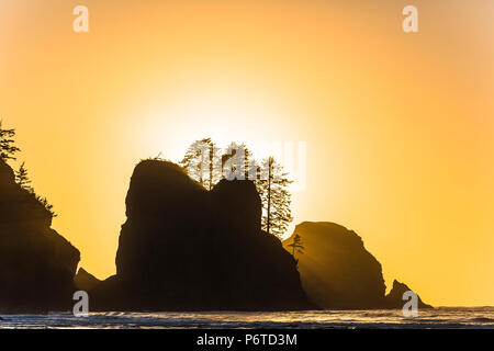 Point of Arches rocks at sunset, viewed from Shi Shi Beach along the Pacific Ocean in Olympic National Park, Washington State, USA Stock Photo