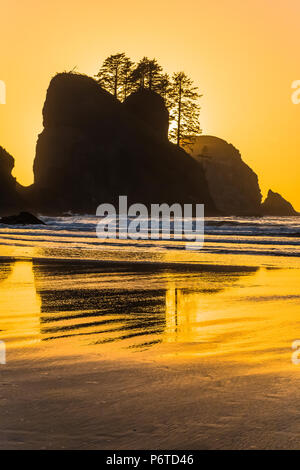 Point of Arches rocks at sunset, viewed from Shi Shi Beach along the Pacific Ocean in Olympic National Park, Washington State, USA Stock Photo