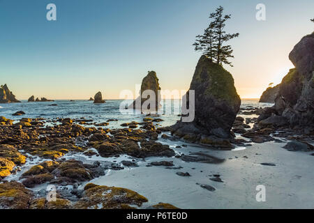 Point of Arches rocks at sunset, viewed from Shi Shi Beach along the Pacific Ocean in Olympic National Park, Washington State, USA Stock Photo