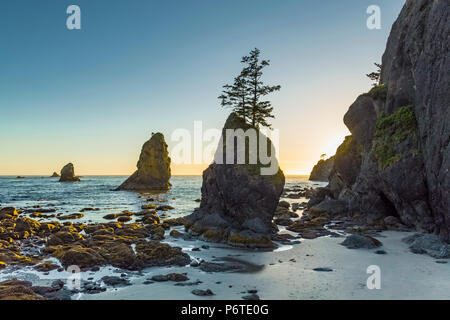 Point of Arches rocks at sunset, viewed from Shi Shi Beach along the Pacific Ocean in Olympic National Park, Washington State, USA Stock Photo