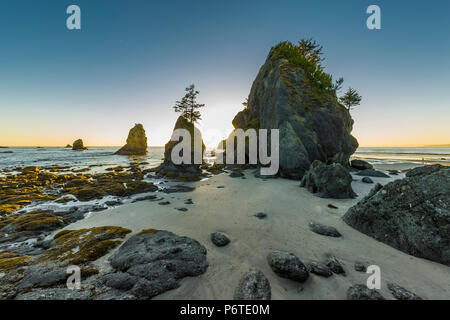 Point of Arches rocks at sunset, viewed from Shi Shi Beach along the Pacific Ocean in Olympic National Park, Washington State, USA Stock Photo