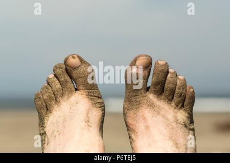 on Shi Shi Beach along the Pacific Ocean in Olympic National Park, Washington State, USA Stock Photo