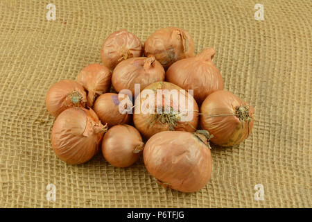Heap of raw whole unpeeled shallot onions on burlap Stock Photo