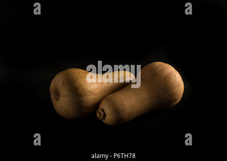 Squashes on a black background Stock Photo
