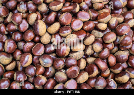 Fresh ripe chestnuts Stock Photo
