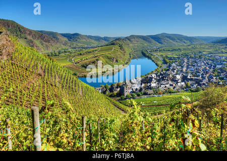 Mosel with Calmont vineyard, Bremm, Rhineland-Palatinate, Germany Stock Photo