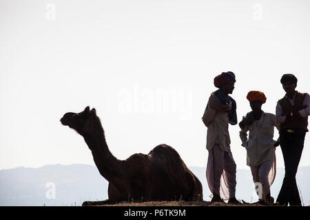 India, Rajasthan., Pushkar, Camel traders chatting at Pushkar Camel Fair Stock Photo
