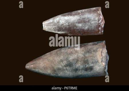 Malacology: fossil of Belemnites (internal skeleton) Stock Photo