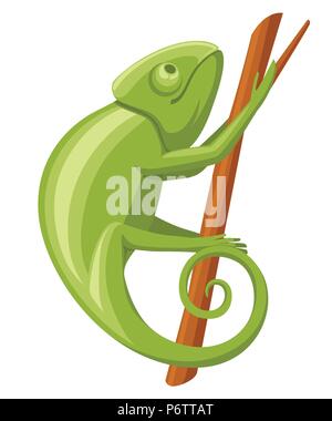 Cartoon chameleon climb on branch. Small green lizard. Chameleon logo design, flat icon. Vector illustration isolated on white background. Stock Vector