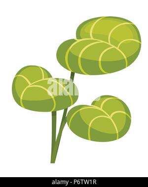 Green branch with big green leaves. Flat vector illustration isolated on white background. Stock Vector