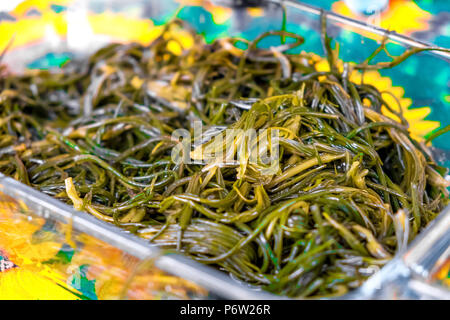 Agretti on baking dish - long vegetables cooked closeup Stock Photo