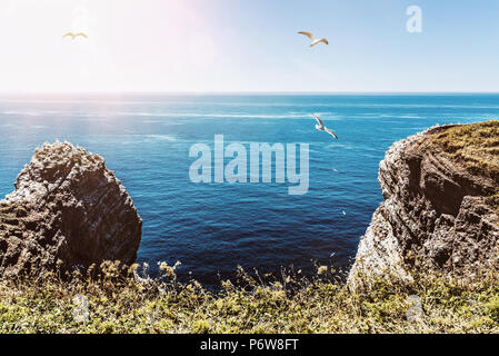 cliffs on Helgoland island against blue sea and sky Stock Photo